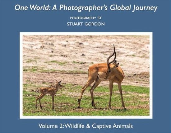 Cover for Stuart Gordon · One World: A Photographer's Global Journey: Volume 2: Wildlife &amp; Captive Animals (Taschenbuch) (2017)