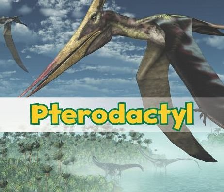 Cover for Daniel Nunn · Pterodactyl (All About Dinosaurs) (Taschenbuch) (2014)
