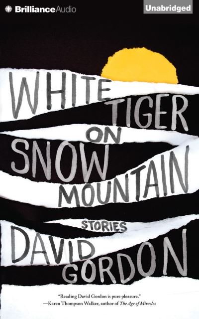 Cover for David Gordon · White Tiger on Snow Mountain Stories (CD) (2014)