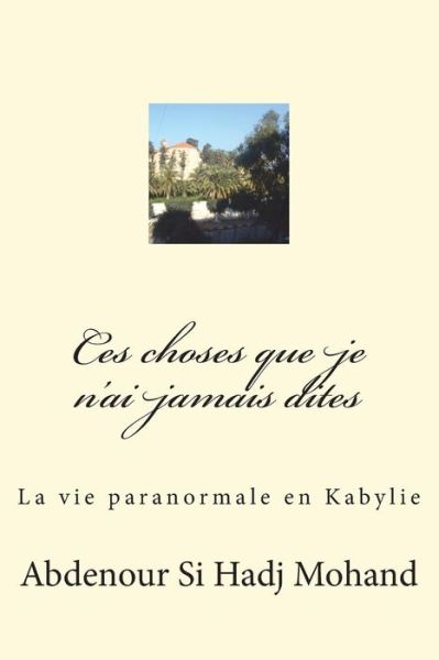 Cover for Abdenour Si Hadj Mohand · Toutes Ces Choses Que Je N'ai Pas Dites (Paperback Book) (2013)