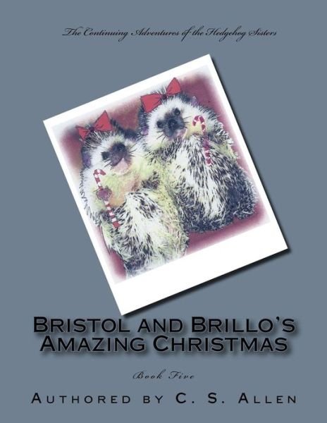 Cover for C S Allen · Bristol and Brillo's Amazing Christmas: the Hedgehog Sisters (Paperback Bog) (2015)