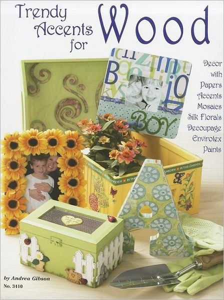 Trendy Accents for Wood: Decor with Paper Accents, Mosaics, Silk Florals, Decoupage, Einvirotex, Paints - Andrea Gibson - Books - Design Originals - 9781574213126 - 2008