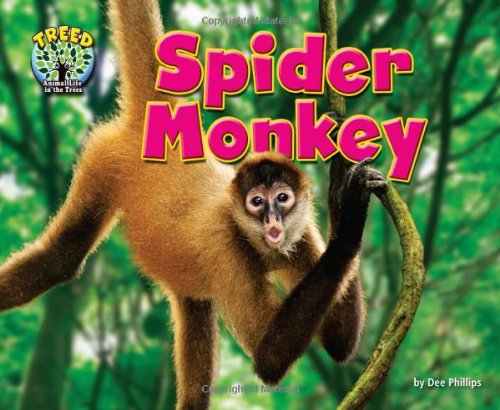 Cover for Dee Phillips · Spider Monkey (Science Slam: Treed-animal Life in the Trees) (Hardcover Book) (2013)