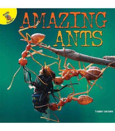 Cover for Tammy Brown · Amazing Ants (Paperback Book) (2018)