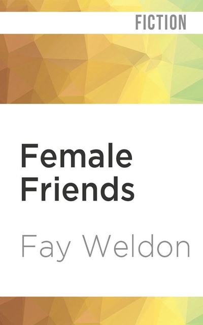 Female Friends - Fay Weldon - Musik - Audible Studios on Brilliance - 9781713618126 - 1. marts 2022