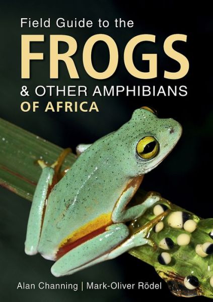 Field Guide to Frogs and Other Amphibians of Africa - Field Guide series - Alan Channing - Books - Penguin Random House South Africa - 9781775845126 - June 28, 2019