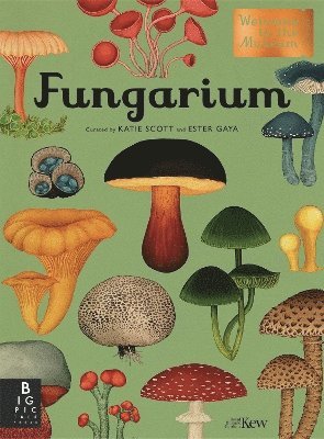 Cover for Royal Botanic Gardens Kew PLG · Fungarium - Welcome To The Museum (Hardcover Book) (2019)