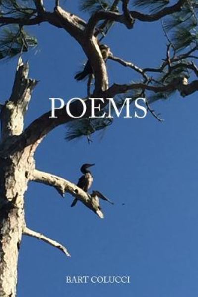 Cover for Bart Colucci · Poems (Paperback Book) (2018)