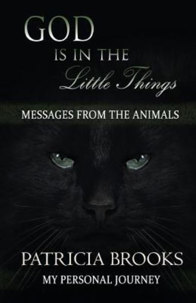 God is in the Little Things - Patricia Brooks - Books - Sacred Stories Publishing - 9781945026126 - June 26, 2016