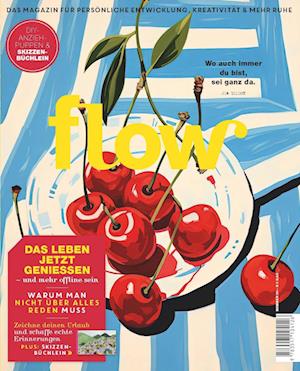 Cover for Deutsche Medien-Manufaktur GmbH &amp; Co. KG · Flow Nummer 90 (4/2025) (Book) (2025)