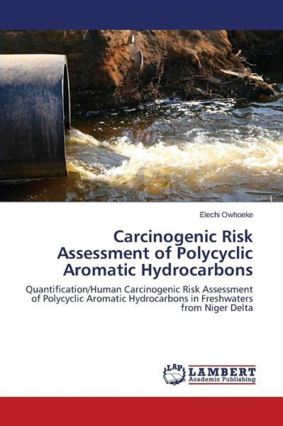 Cover for Owhoeke Elechi · Carcinogenic Risk Assessment of Polycyclic Aromatic Hydrocarbons (Paperback Book) (2014)