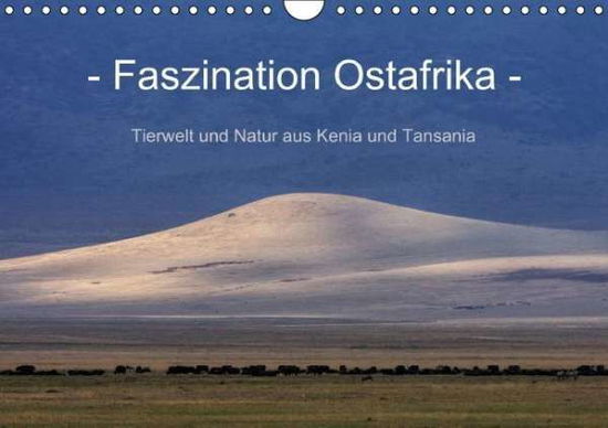 Cover for Schänzer · Faszination Ostafrika - Tierwe (Book)