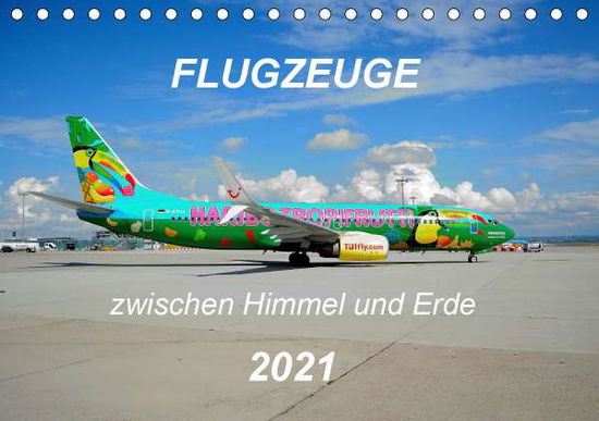 Cover for Merz · Flugzeuge zwischen Himmel und Erde (Book)