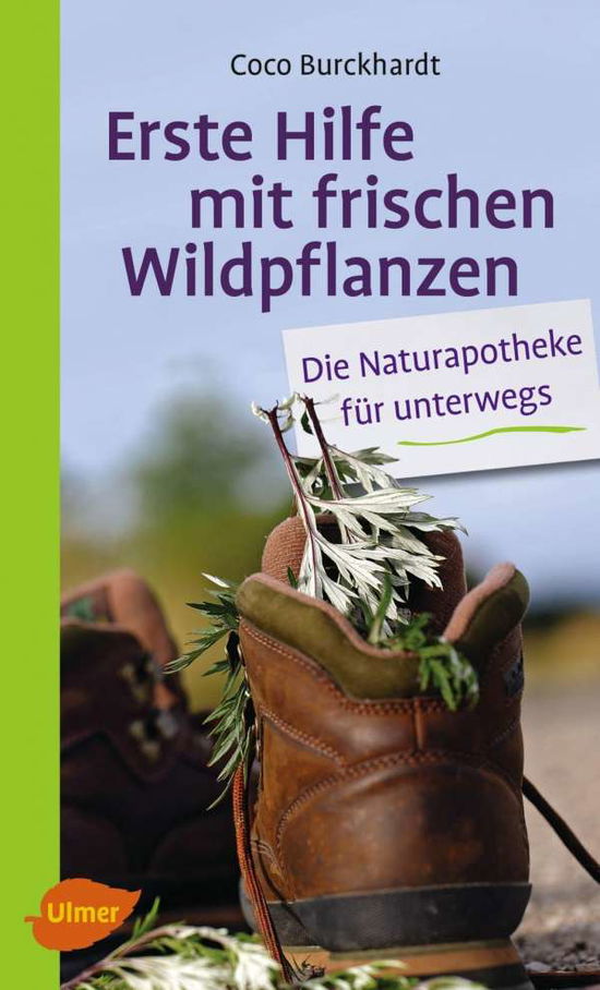 Cover for Burckhardt · Erste Hilfe mit frischen Wil (Book)