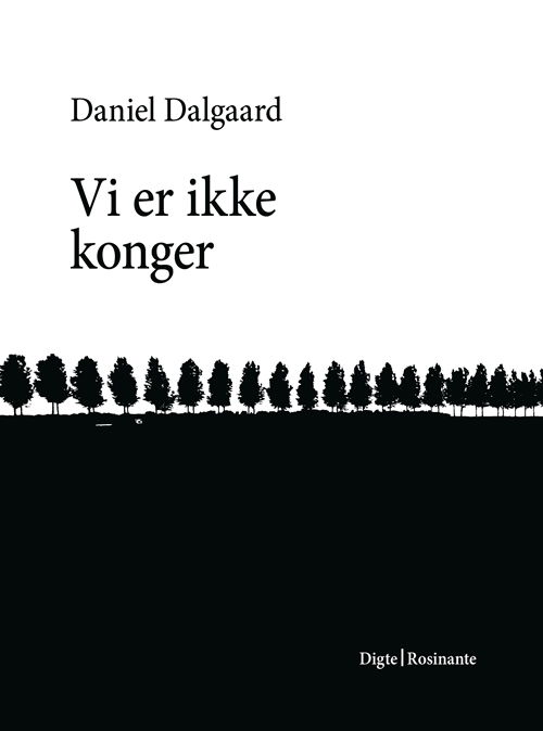 Cover for Daniel Dalgaard · Vi er ikke konger (Hæftet bog) [1. udgave] (2013)