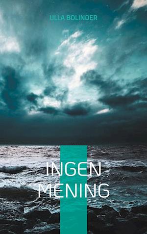 Cover for Ulla Bolinder · Ingen mening (Book) (2024)