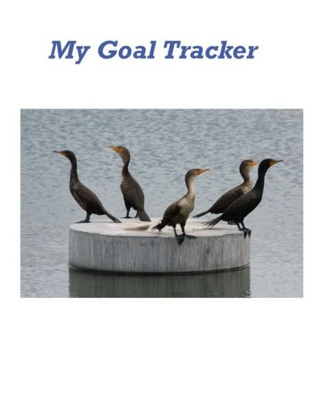 Cover for Karen Rhodes · My Goal Tracker (Taschenbuch) (2020)