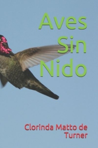 Cover for Clorinda Matto de Turner · Aves Sin Nido (Paperback Book) (2020)