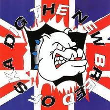 Cover for Various Artists · Dig The New Breed Of Ska (CD) (1999)