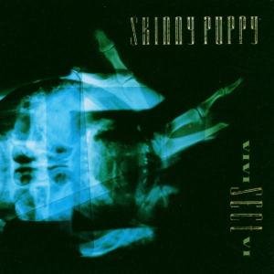 Cover for Skinny Puppy · Vivi Sect Vi (CD) (1992)