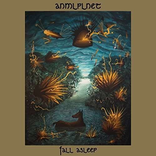 Cover for Anmlplnet · Fall Asleep (CD) (2018)