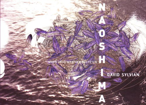 When Loud Weather BUFFETED NAOSHIMA, EXPERIMENTAL SOUNDSCAPES - David Sylvian - Música - SAMADHI - 0633367770127 - 6 de agosto de 2007