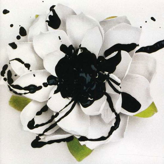 White Lotus - Eyes Set to Kill - Music - INGROOVES - 0635961190127 - August 9, 2011