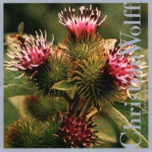 Cover for Christian Wolff · Burdocks (CD) (2001)