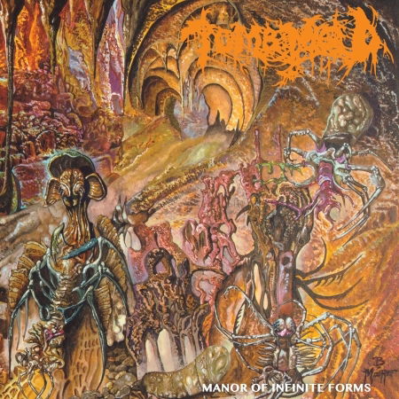 Tomb Mold · Manor of Infinite Forms (CD) (2018)