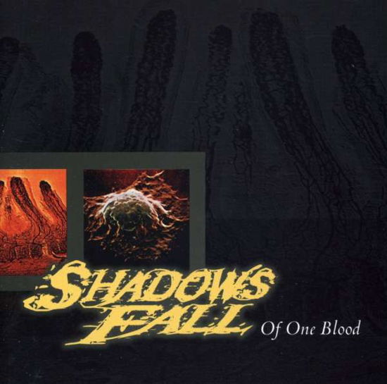 Of One Blood - Shadows Fall - Muziek -  - 0727701798127 - 