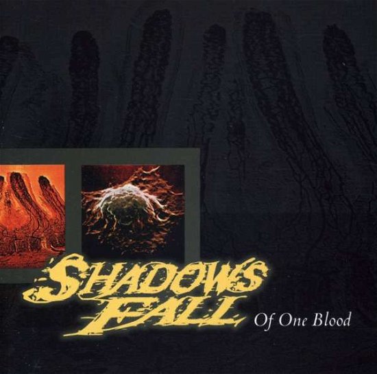 Cover for Shadows Fall · Of One Blood (CD)