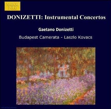 Cover for G. Donizetti · Instrumental Concerti (CD) (1995)