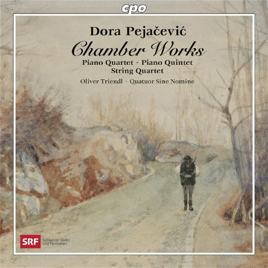 Pejacevicchamber Works - Triendlquatuor Sine Nomine - Musik - CPO - 0761203742127 - 25. Februar 2013