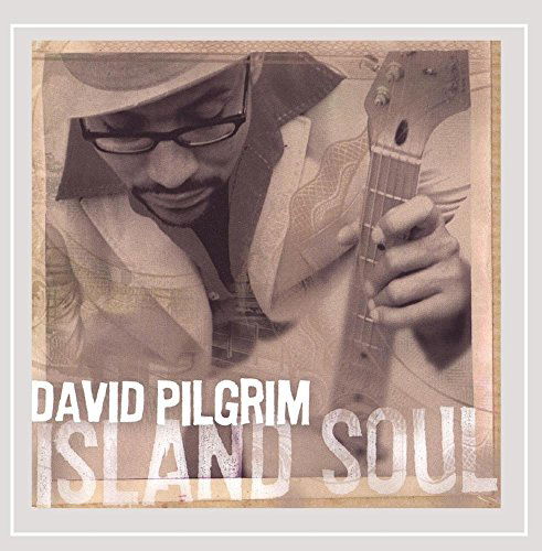 Island Soul - David Pilgrim - Music - David Pilgrim - 0783707925127 - June 22, 2004