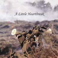 Cover for Jan Norris · A Little Heartbreak (CD) (2019)