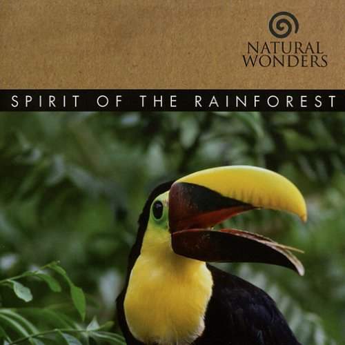 Cover for David Arkenstone · Spirit of the Rain Forest (CD) (2008)