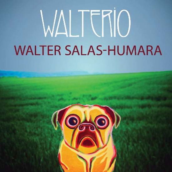 Walterio - Walter Salas-humara - Musiikki - FOLK ROCK - 0860427003127 - perjantai 24. elokuuta 2018
