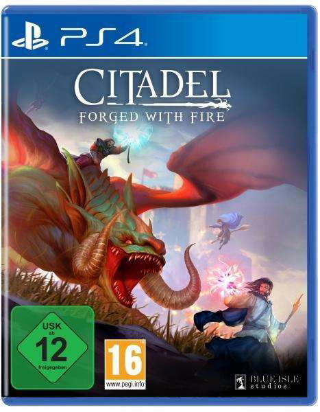 Playstation 4: Citadel Forged With Fire - Game - Film - Blue Isle Studios - 0884095196127 - 1. november 2019