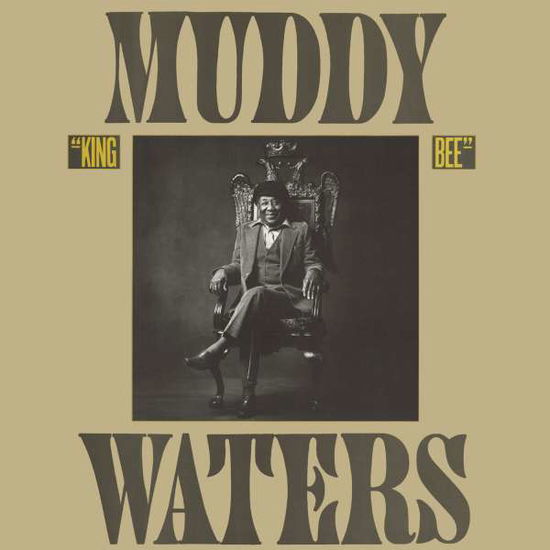 King Bee - Muddy Waters - Musik - SBME SPECIAL MKTS - 0886972389127 - 8 februari 2000