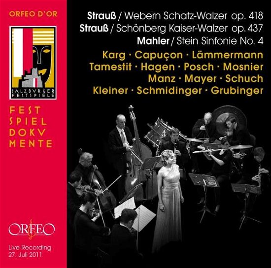MAHLER / STEIN: Sinfonie No.4 - Karg / Capucon / Lämmermann / Tamestit / Grubinger/+ - Musik - ORFEO DOR - 4011790925127 - 9. december 2016