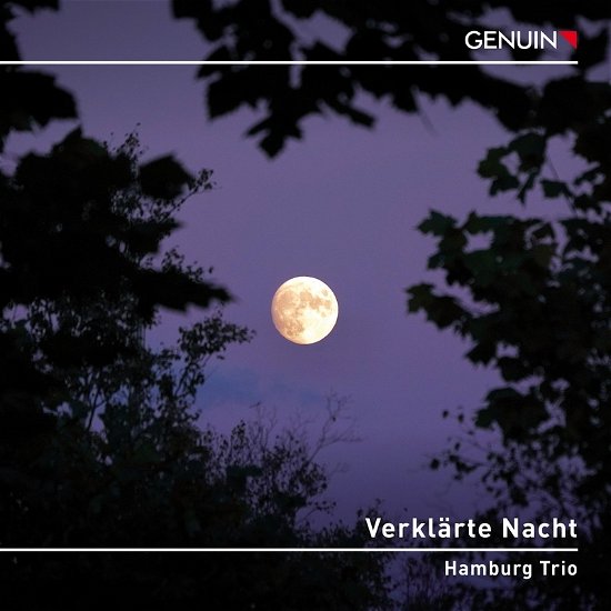 Verklarte Nacht - Schoenberg / Schubert / Zemlinsky - Musique - Genuin - 4260036258127 - 5 mai 2023