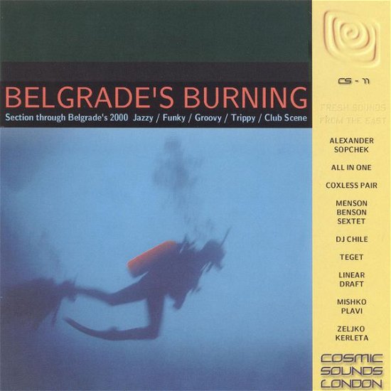 Cover for Various Artitst · Various Artitst - Belgrads Burning (CD) (2001)