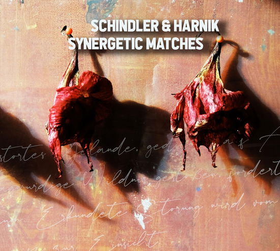 Schindler & Harnik · Synergetic Matches (CD) (2024)