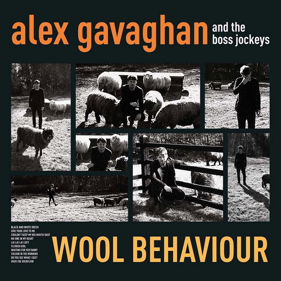 Cover for Gavaghan Alex · Wool Behaviour (LP) (2018)