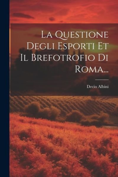 Cover for Decio Albini · Questione Degli Esporti et il Brefotrofio Di Roma... (Bok) (2023)