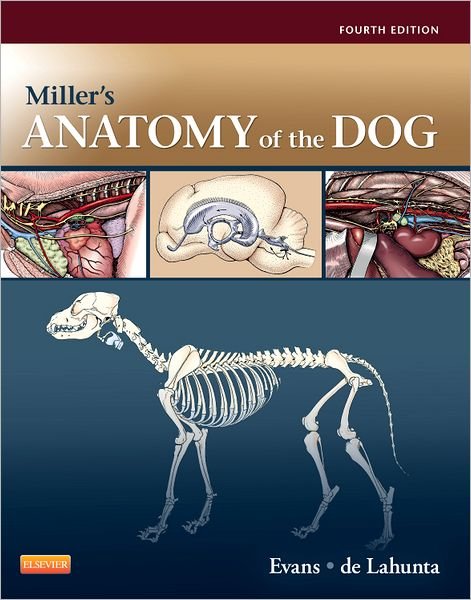 Cover for Evans · Miller's Anatomy of the Dog (Book) [4 Revised edition] (2012)