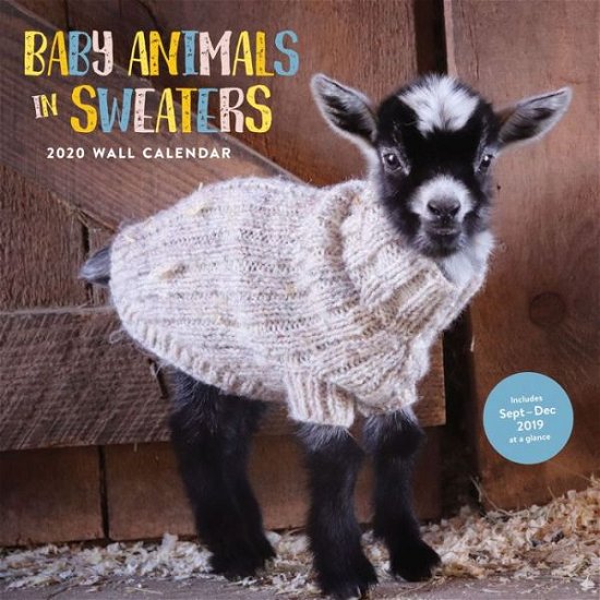 Cover for Chronicle Books · Baby Animals in Sweaters 2020 Wall Calendar (CLOTHES) (2019)