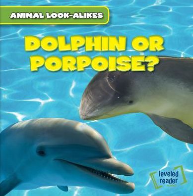 Cover for Rob Ryndak · Dolphin or Porpoise? (Paperback Book) (2015)