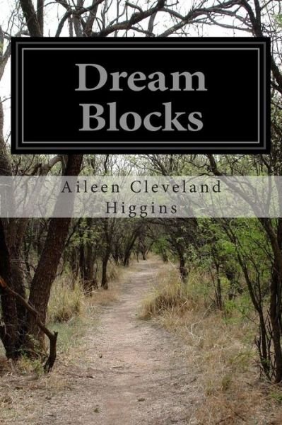 Cover for Aileen Cleveland Higgins · Dream Blocks (Paperback Book) (2014)