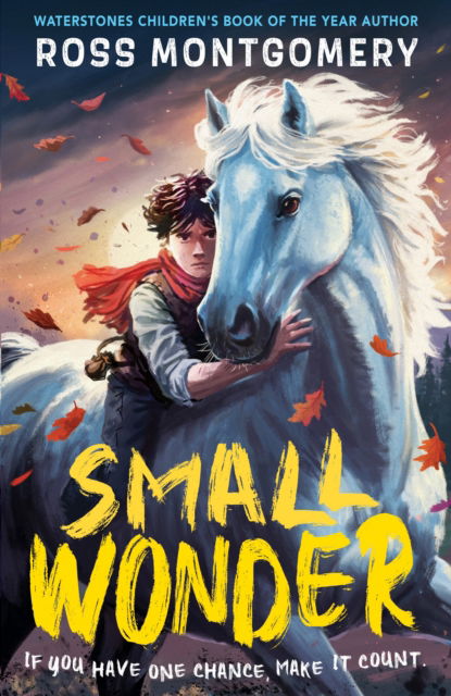 Small Wonder: The hotly anticipated new novel from award-winning Ross Montgomery, winner of Waterstones Children’s Book of the Year 2024 – fantasy adventure perfect for ages 9, 10, 11, 12 - Ross Montgomery - Books - Walker Books Ltd - 9781529526127 - August 28, 2025
